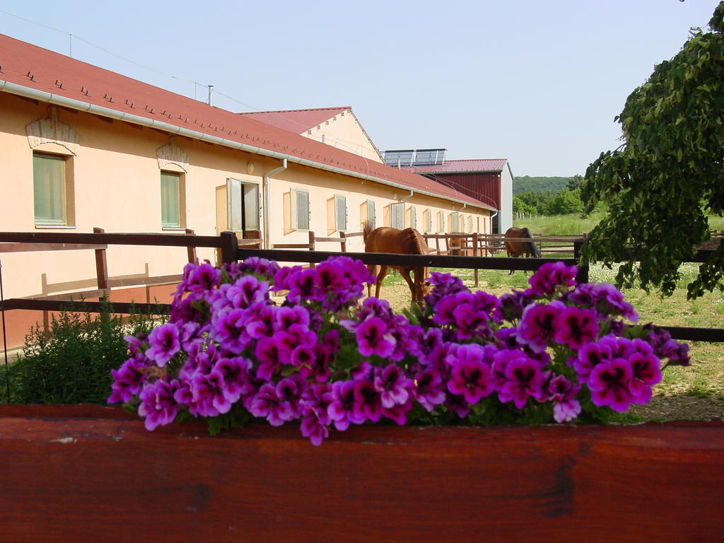 Totvar Lovas Szallashely Kovagotottos Exterior photo